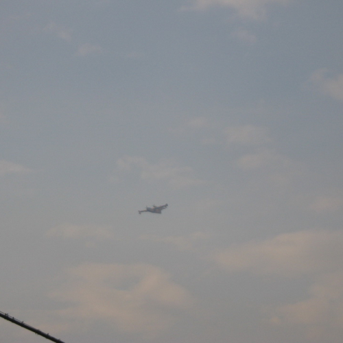 Incendio boschivo a Illegio di Tolmezzo n. 6 / 79500