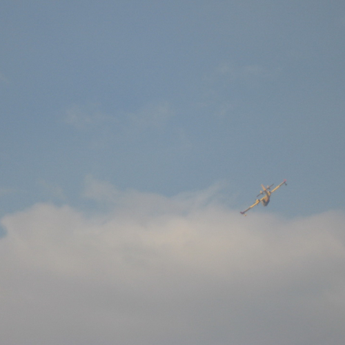 Incendio boschivo a Illegio di Tolmezzo n. 7 / 79501