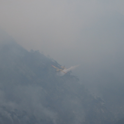 Incendio boschivo a Illegio di Tolmezzo n. 8 / 79502