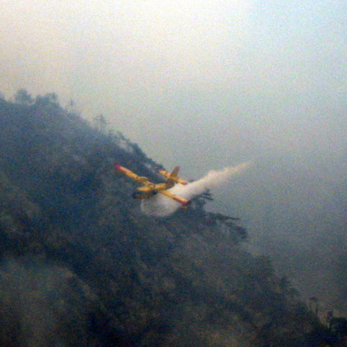 Incendio boschivo a Illegio di Tolmezzo n. 9 / 79503