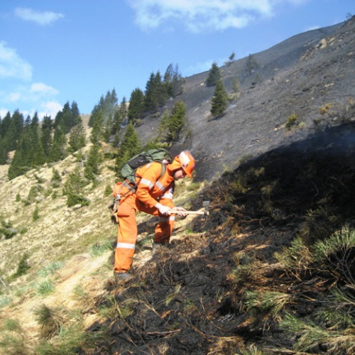 Incendio boschivo in zona Navantes n. 2 / 64180