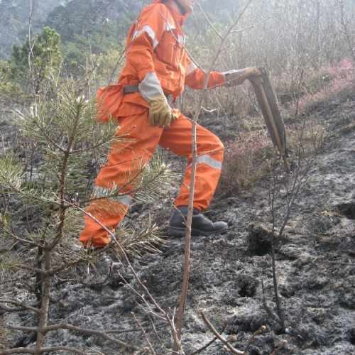 Incendio a Illegio 30/03/12 n.11 / 79521