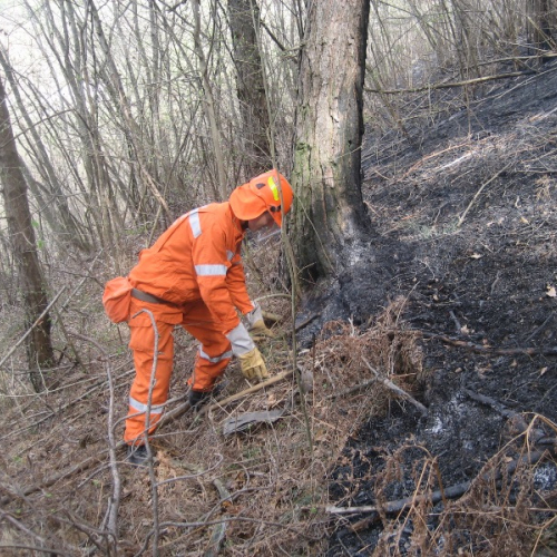 Incendio a Illegio 30/03/12 n.12 / 79522