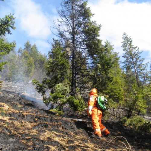 Incendio boschivo in zona Navantes n. 4 / 64182