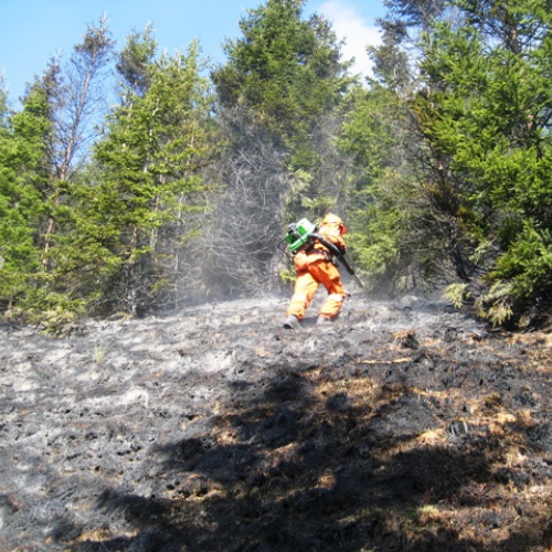 Incendio boschivo in zona Navantes n. 5 / 64183