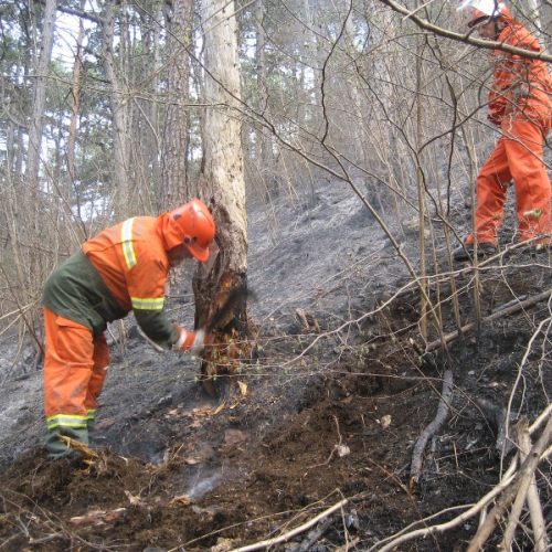 Incendio a Illegio 30/03/12 n.13 / 79523