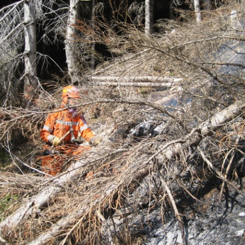 Incendio boschivo in zona Navantes n. 6 / 64184