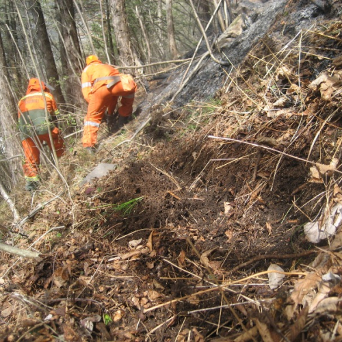 Incendio a Illegio 30/03/12 n.14 / 79524