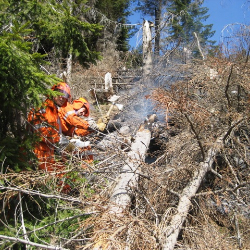 Incendio boschivo in zona Navantes n. 7 / 64185