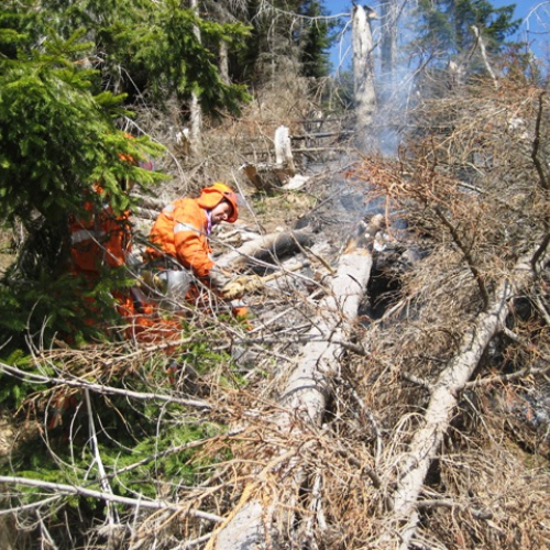 Incendio boschivo in zona Navantes n. 8 / 64186