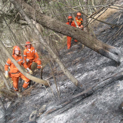 Incendio a Illegio 30/03/12 n.15 / 79525