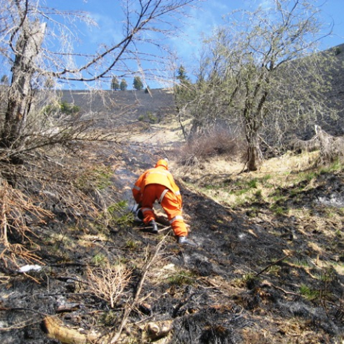 Incendio boschivo in zona Navantes n. 9 / 64187