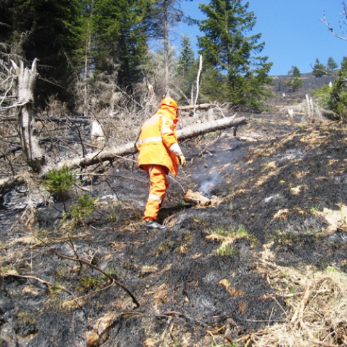 Incendio boschivo in zona Navantes n. 10 / 64188