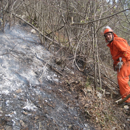 Incendio a Illegio 30/03/12 n.18 / 79528