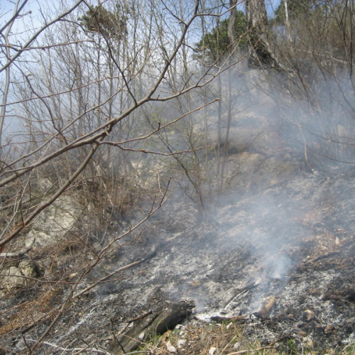 Incendio a Illegio 30/03/12 n.19 / 79529