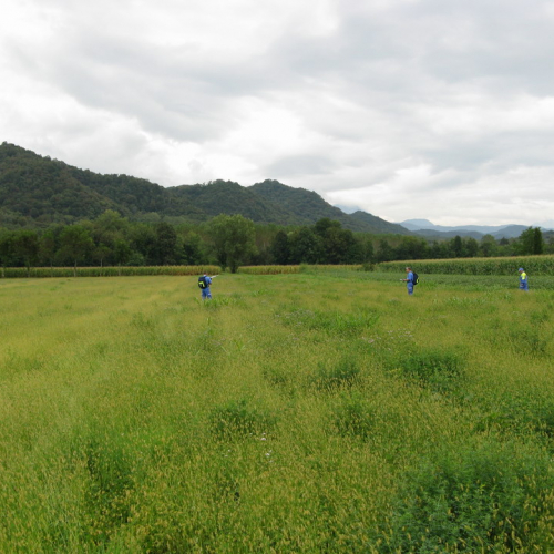 Corso ricerca persone disperse n. 8 / 29293