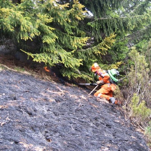 Incendio boschivo in zona Navantes n. 12 / 64190