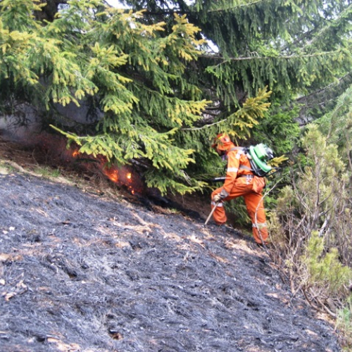 Incendio boschivo in zona Navantes n. 13 / 64191