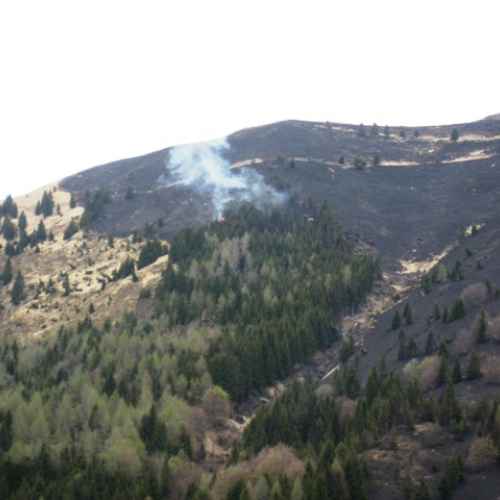 Incendio boschivo in zona Navantes n. 15 / 64193