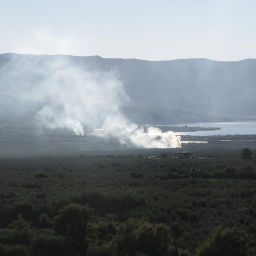 I volontari del 9∞ turno AIB in Puglia n. 6 / 99033