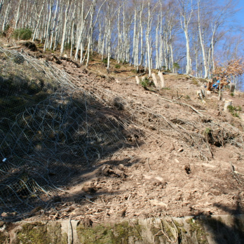 Foto lavori n. 9 / 24246
