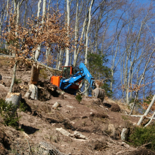 Foto lavori n. 10 / 24247