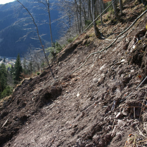 Foto lavori n. 14 / 24251