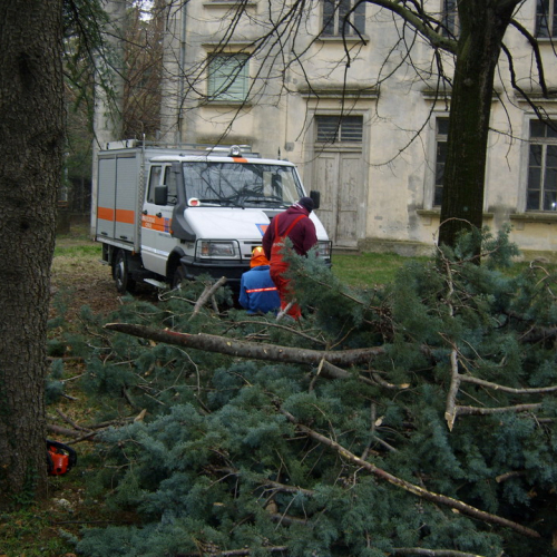 Interventi maltempo 10/03 n. 1 / 49119