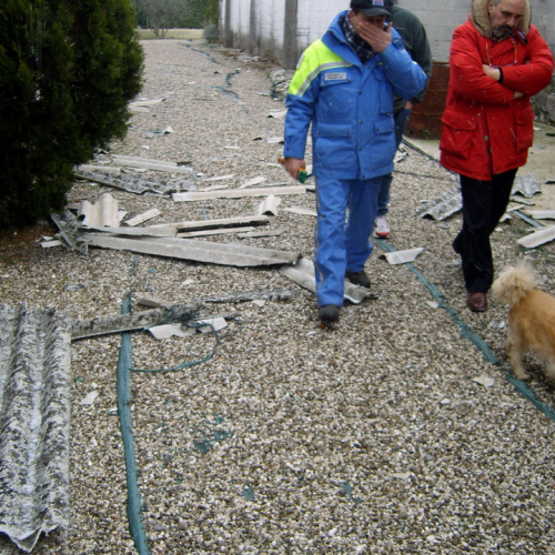 Interventi maltempo 10/03 n. 5 / 49123