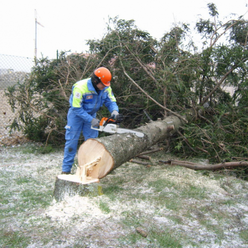 Interventi maltempo 10/03 n. 8 / 49126