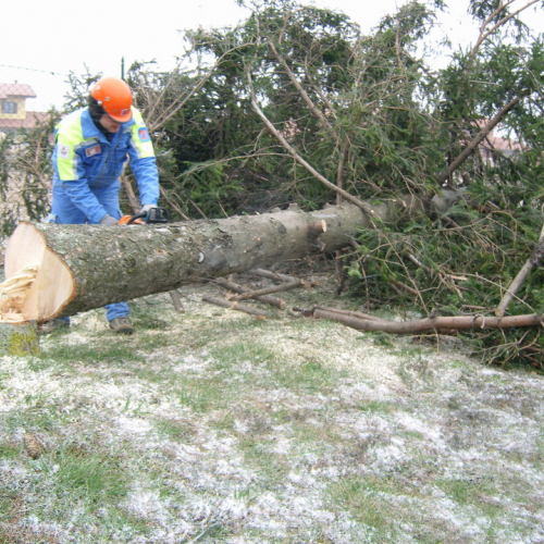 Interventi maltempo 10/03 n. 9 / 49127