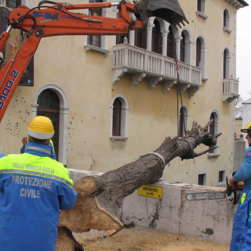 Attivit‡ di prevenzione del 01/02 n. 8 / 34522