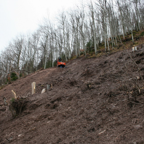 Foto lavori n. 19 / 24256