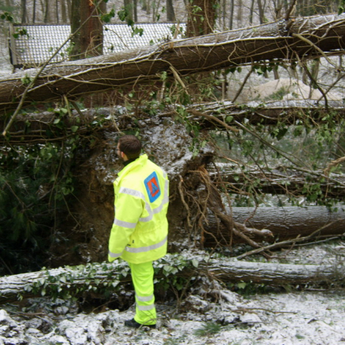 Interventi maltempo 10/03 n. 13 / 49131