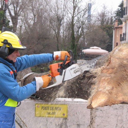 Attivit‡ di prevenzione del 01/02 n. 9 / 34523