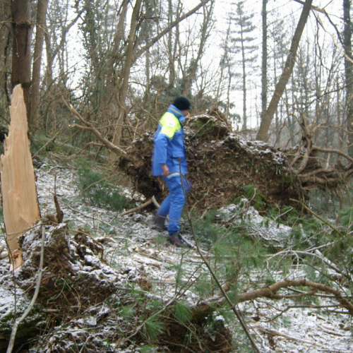 Interventi maltempo 10/03 n. 14 / 49132