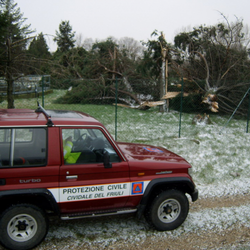 Interventi maltempo 10/03 n. 19 / 49137