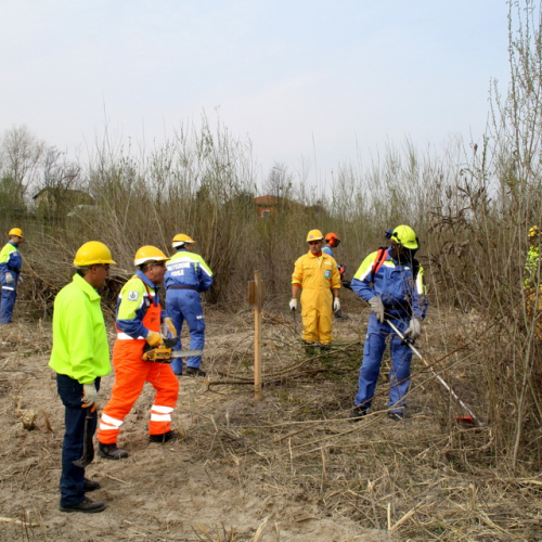 intervento Fiume Meduna Ponte Strada Statale 13 n. 11 / 78435