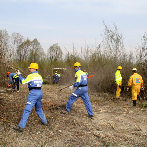intervento Fiume Meduna Ponte Strada Statale 13 n. 12 / 78436