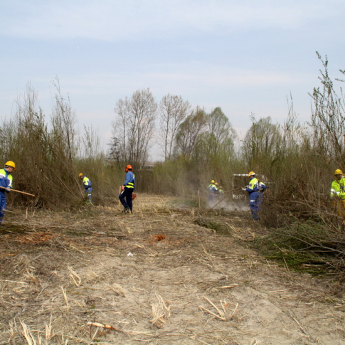 intervento Fiume Meduna Ponte Strada Statale 13 n. 13 / 78437