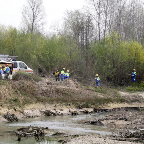 intervento Fiume Meduna Ponte Strada Statale 13 n. 20 / 78444