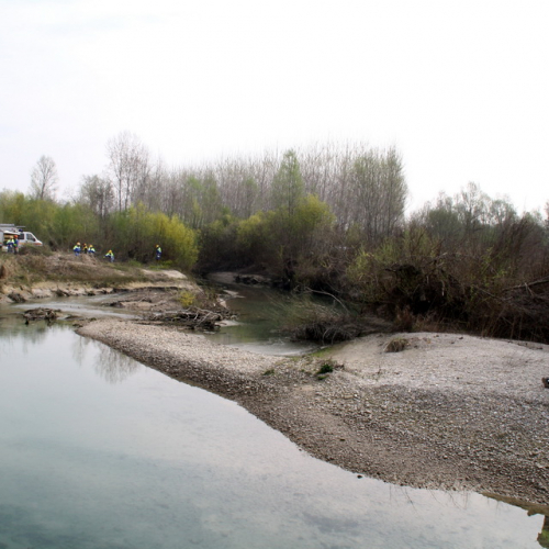 intervento Fiume Meduna Ponte Strada Statale 13 n. 21 / 78445