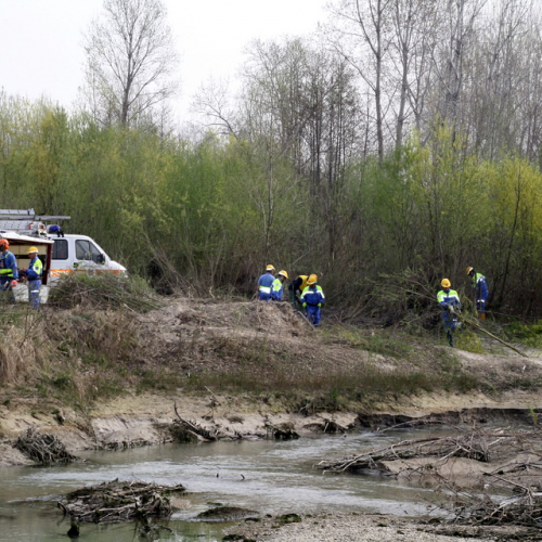intervento Fiume Meduna Ponte Strada Statale 13 n. 22 / 78446