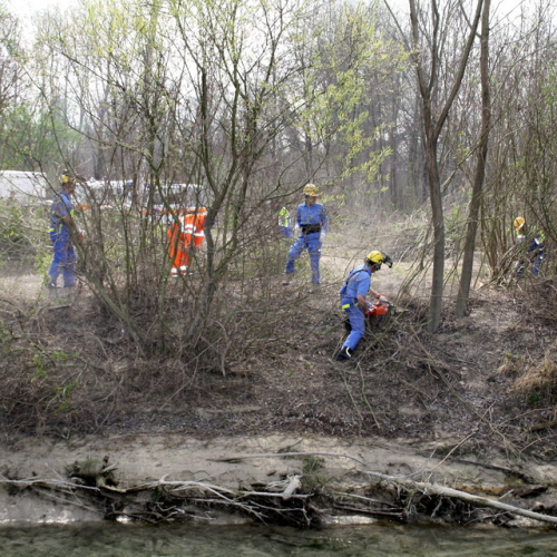 intervento Fiume Meduna Ponte Strada Statale 13 n. 23 / 78447