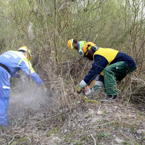intervento Fiume Meduna Ponte Strada Statale 13 n. 24 / 78448
