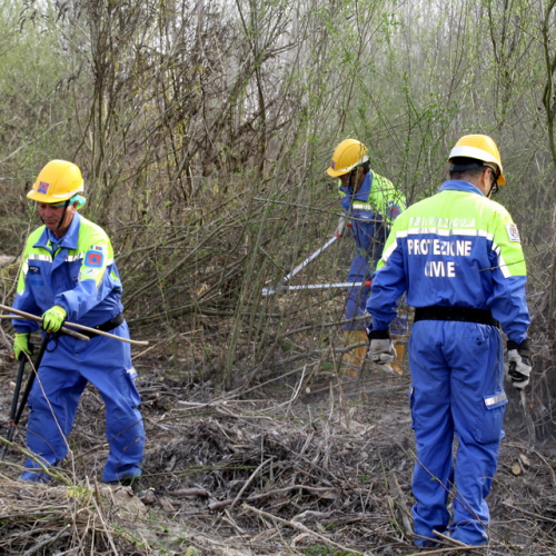 intervento Fiume Meduna Ponte Strada Statale 13 n. 25 / 78449