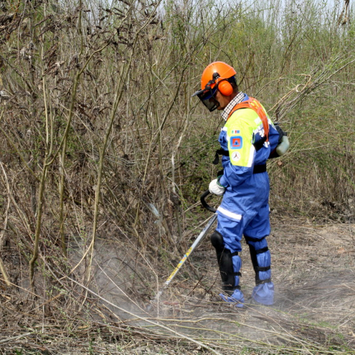 intervento Fiume Meduna Ponte Strada Statale 13 n. 26 / 78450