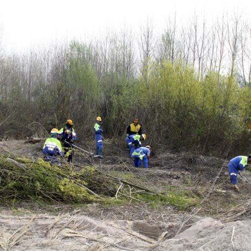 intervento Fiume Meduna Ponte Strada Statale 13 n. 27 / 78451