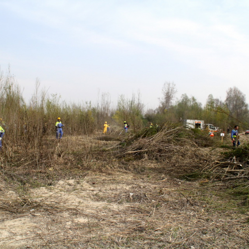 intervento Fiume Meduna Ponte Strada Statale 13 n. 28 / 78452