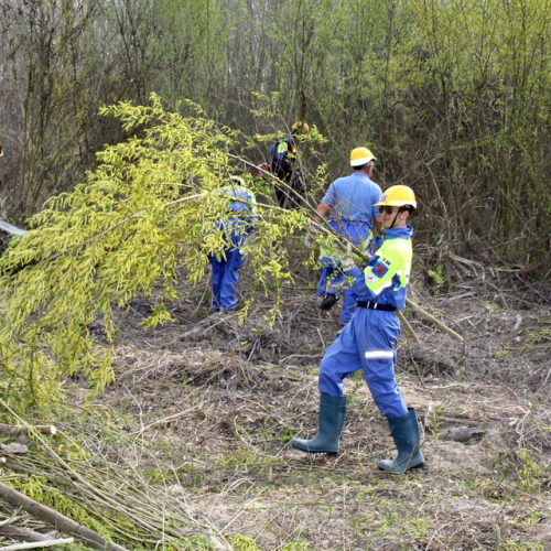 intervento Fiume Meduna Ponte Strada Statale 13 n. 30 / 78454